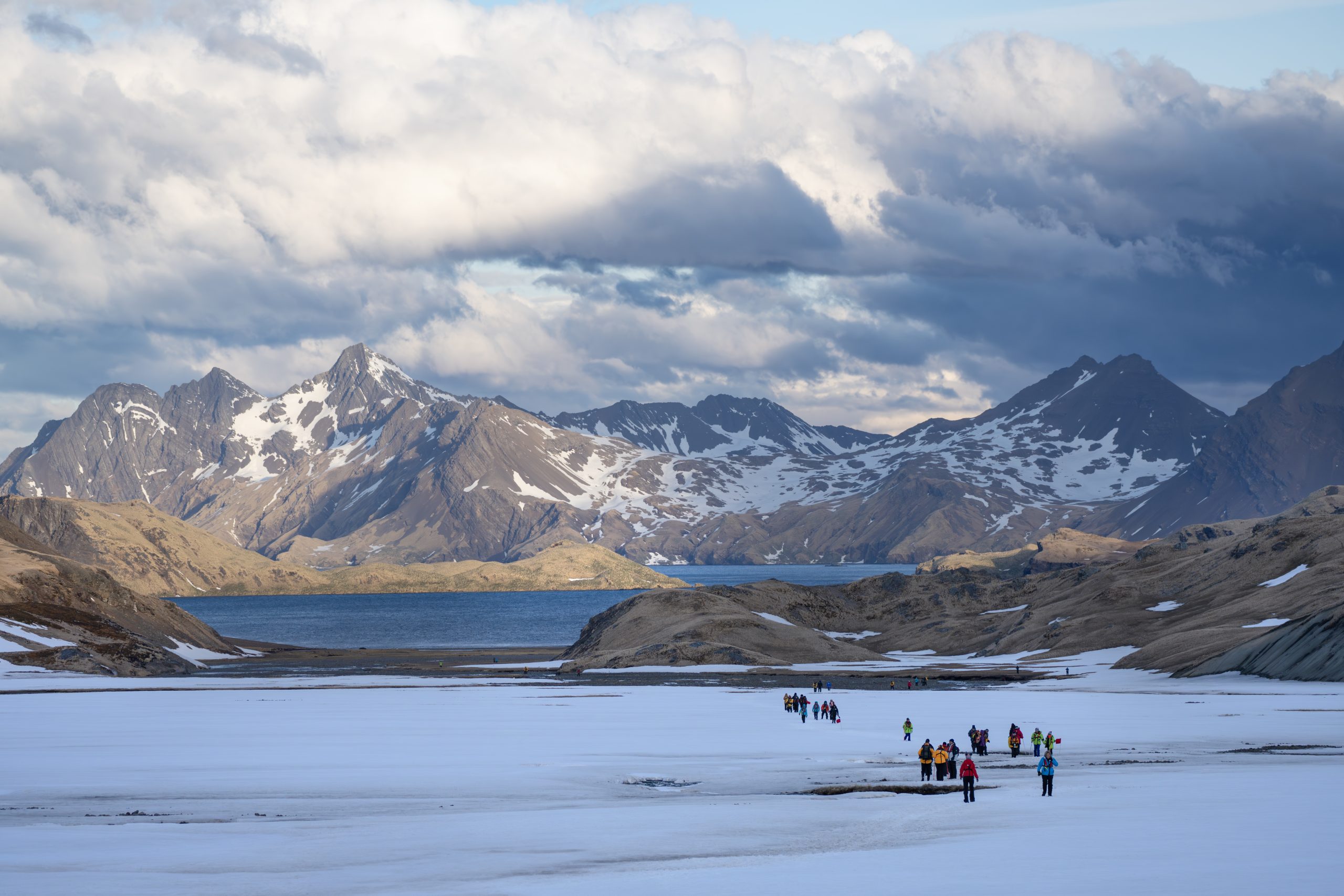 Islas Falklands y South Georgia Diecisiete Días en los Confines del Mundo