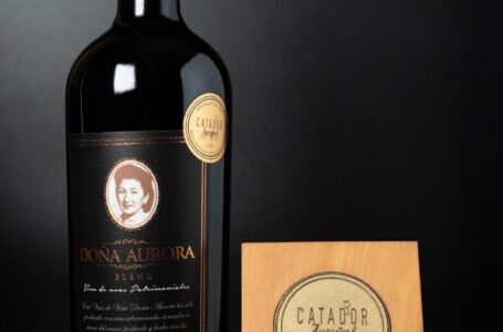 Alex Abarza Stark, ingeniero y Gerente comercial: Una viña que narra su origen